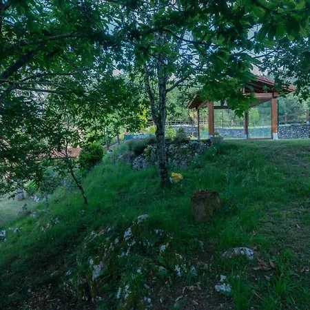 Locus Amoenus